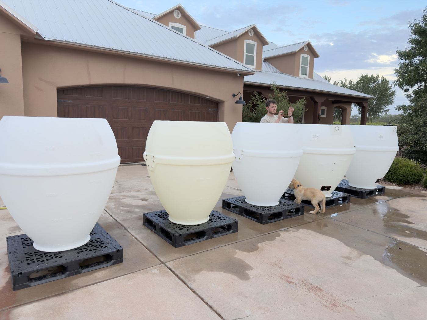 A row of white fermenters lined up outside the winery